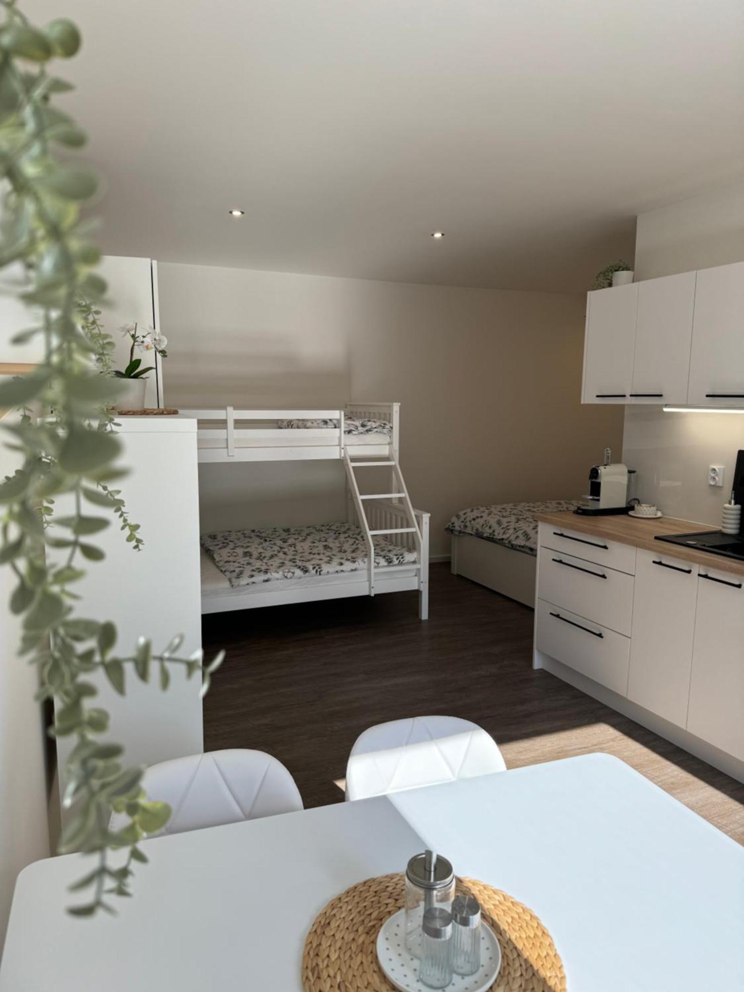 Rk Apartment #4 ブルノ エクステリア 写真