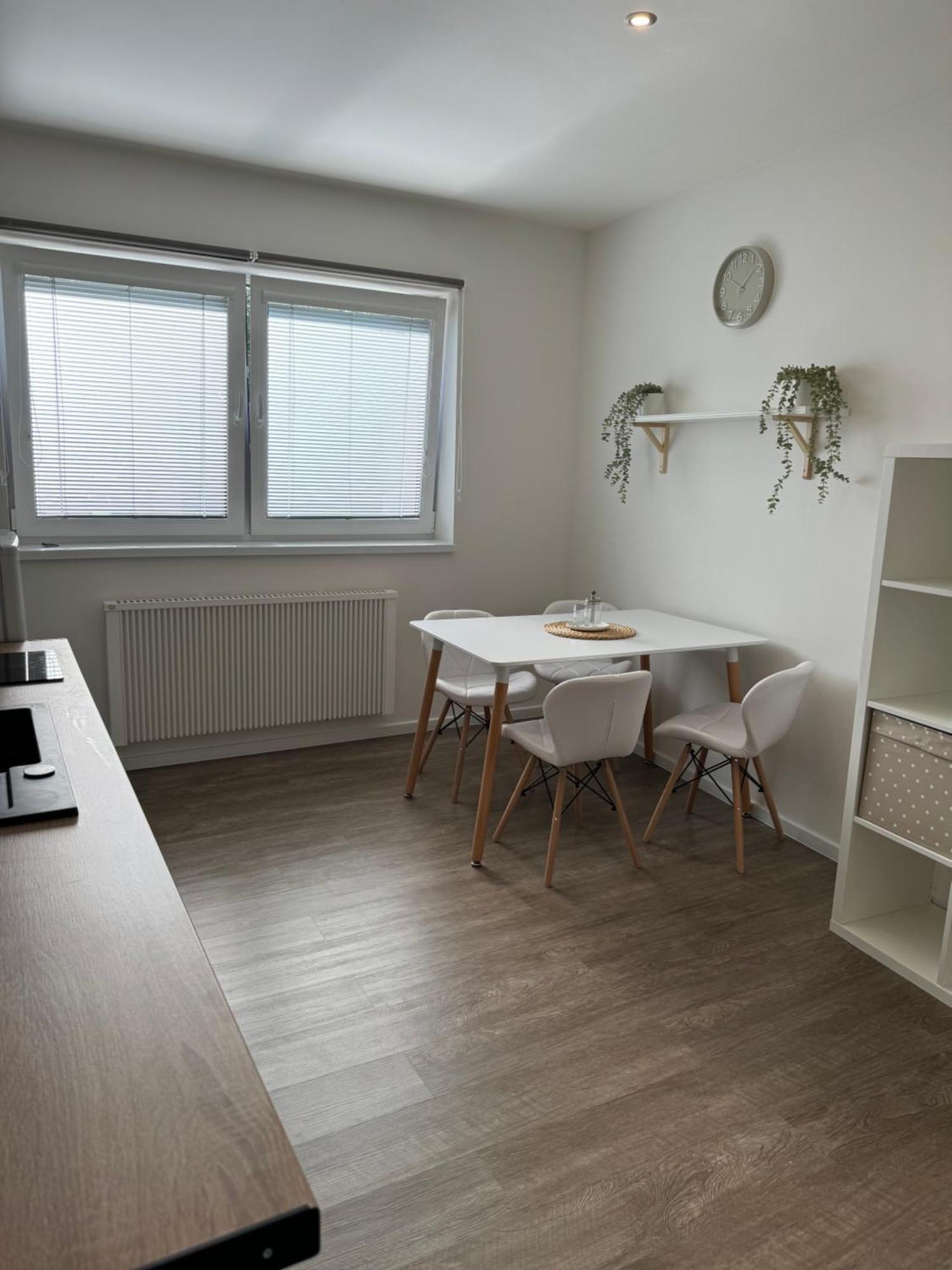 Rk Apartment #4 ブルノ エクステリア 写真